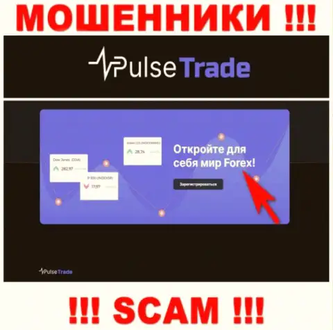 Pulse Trade, прокручивая свои делишки в области - ФОРЕКС, дурачат клиентов