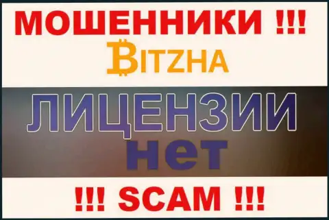 Мошенникам Bitzha24 не выдали лицензию на осуществление деятельности - сливают финансовые средства
