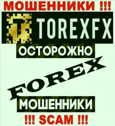 Тип деятельности TorexFX Com: FOREX - отличный доход для мошенников