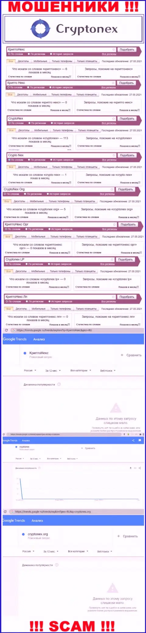 Статистические данные онлайн-запросов по бренду КриптоНекс