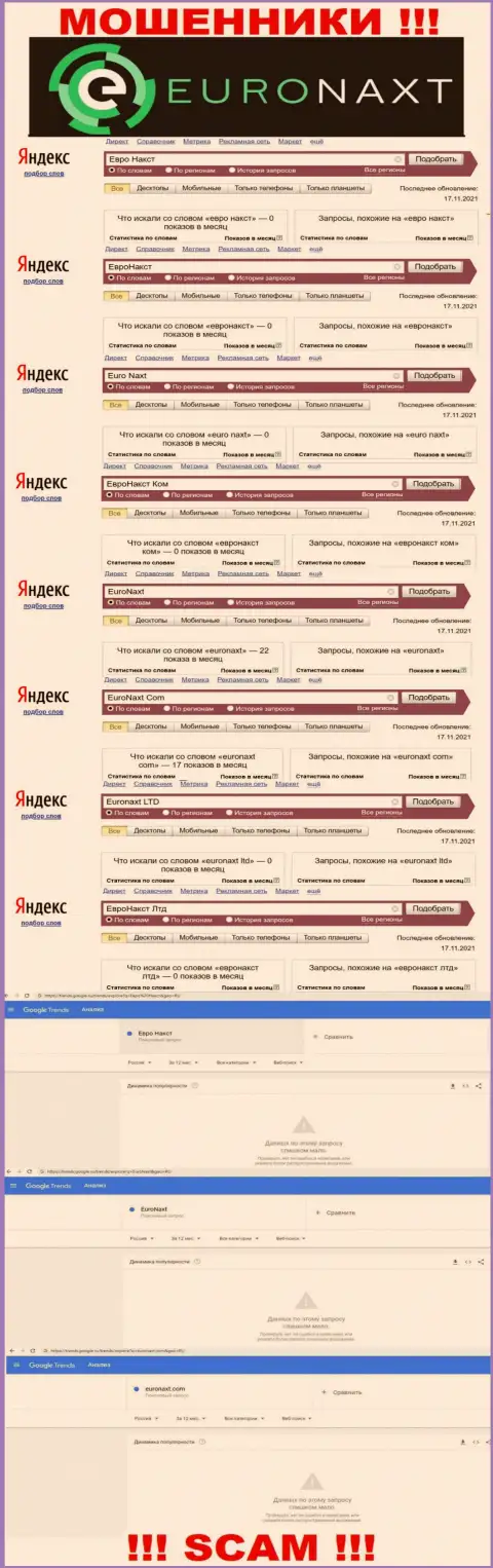 Онлайн запросы по мошенникам EuroNax