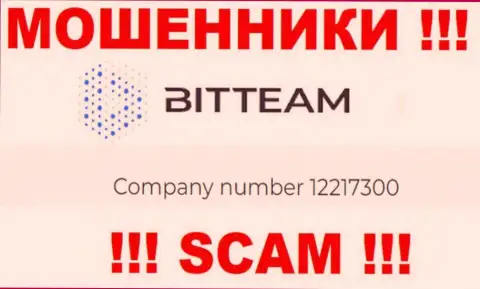 Регистрационный номер организации Bit Team - 12217300