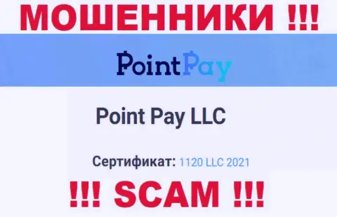 Регистрационный номер жульнической компании ПоинтПай - 1120 LLC 2021