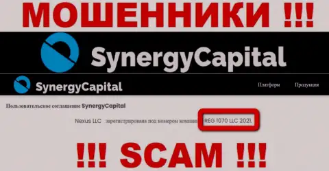 Номер регистрации компании SynergyCapital Top - REG 1070 LLC 2021