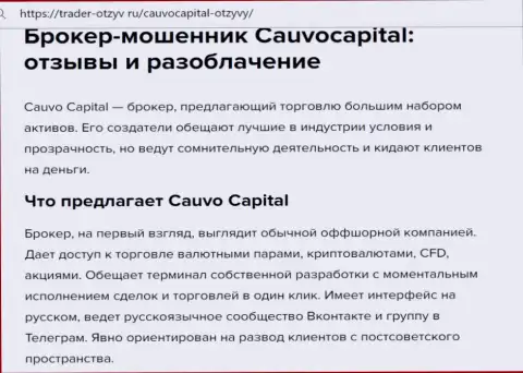 CauvoCapital - это АФЕРИСТЫ ! статья с доказательствами неправомерных деяний