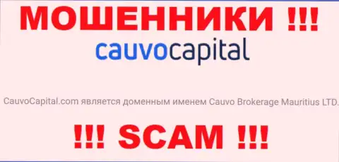 Разводилы Cauvo Capital принадлежат юридическому лицу - Кауво Брокеридж Маврикий ЛТД