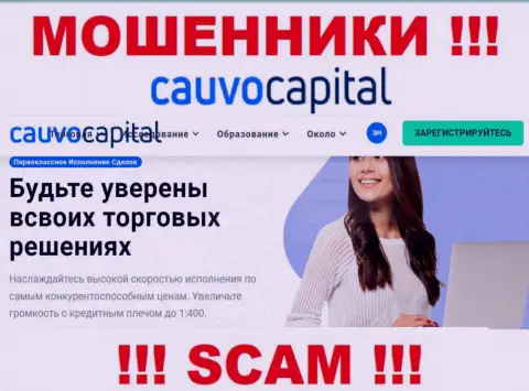 Брокер - в таком направлении предоставляют услуги мошенники Cauvo Capital